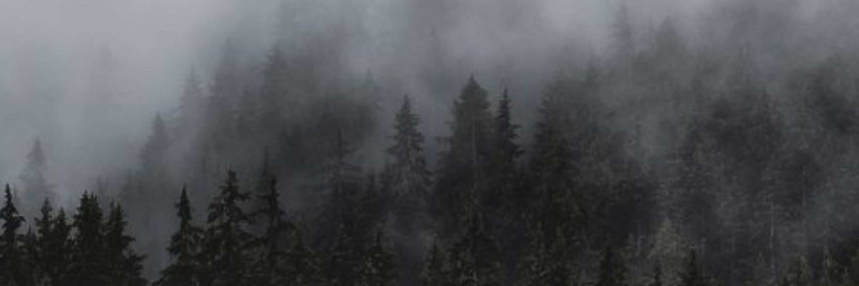 ㅤ