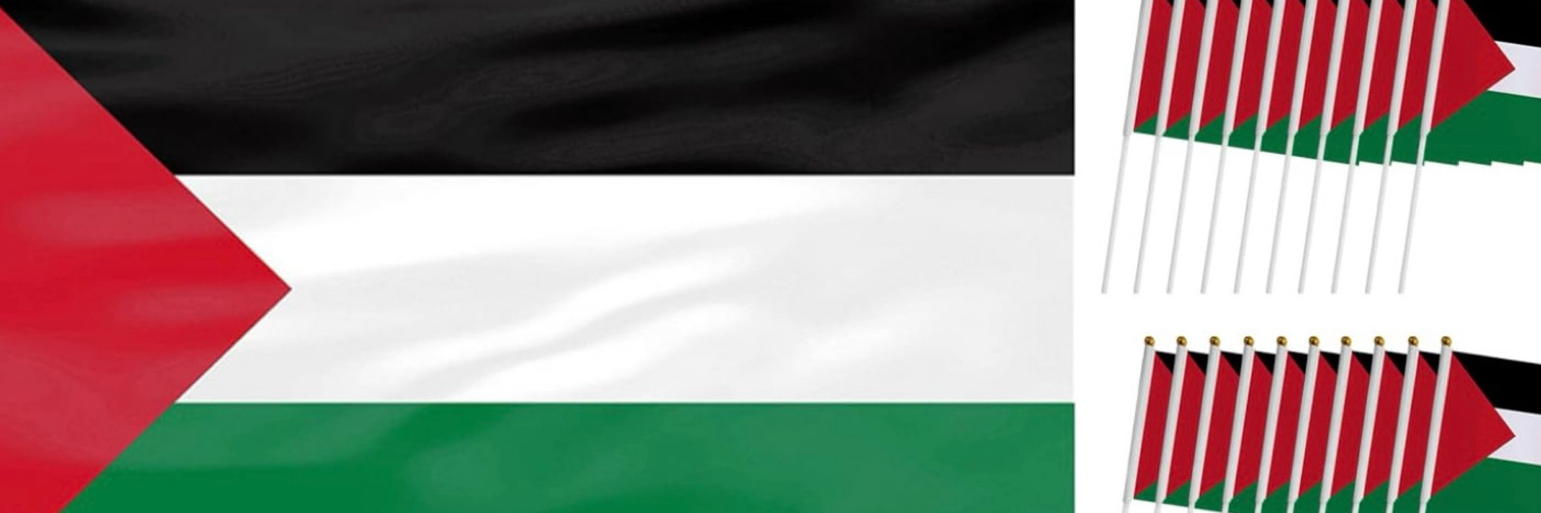 FreePalestine🇵🇸🇵🇸🇵🇸🇵🇸🇵🇸🇵🇸