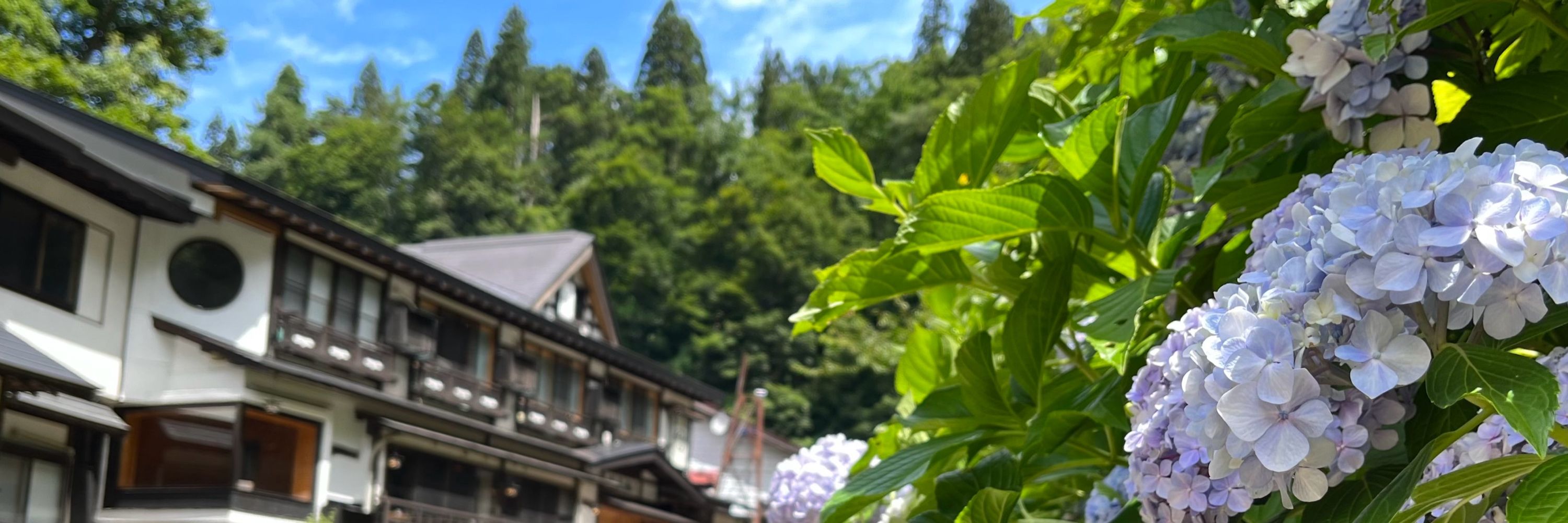 meloco🌱5/4 東5て24b