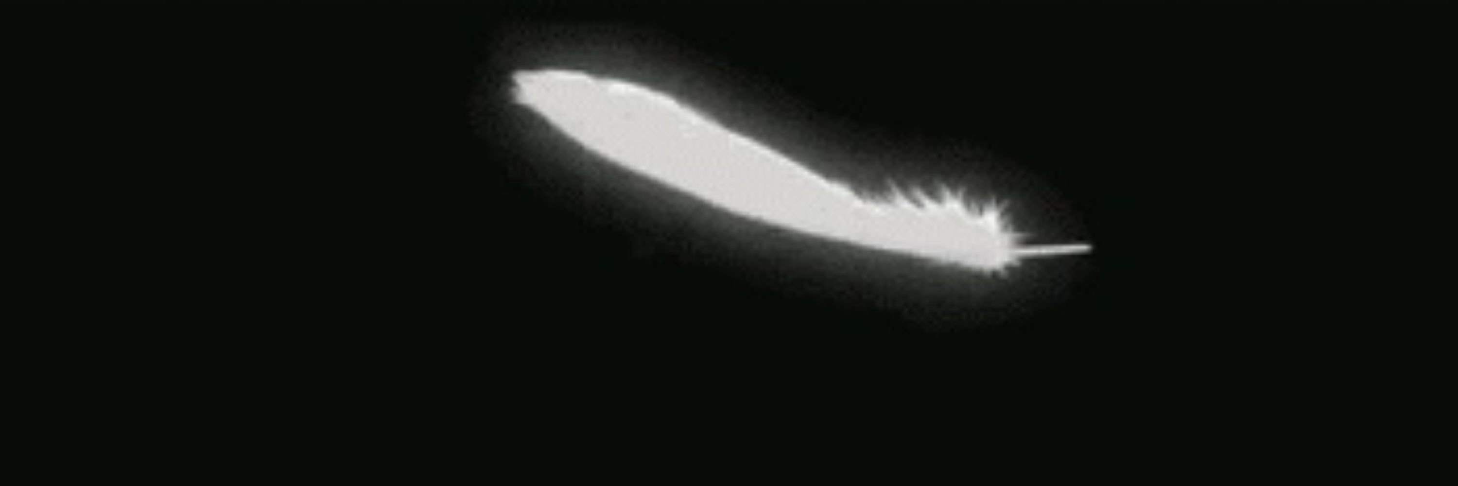 𝐏𝐫𝐢𝐞𝐫𝐞 𝐋𝐞𝐃𝐨𝐮𝐱