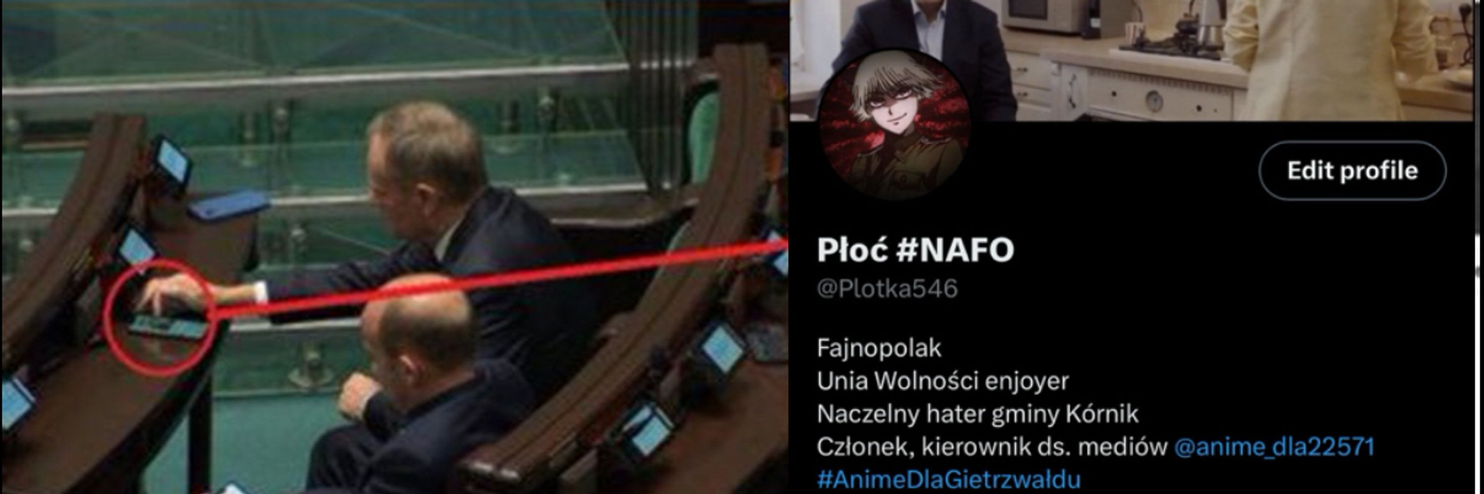 Płoć #NAFO