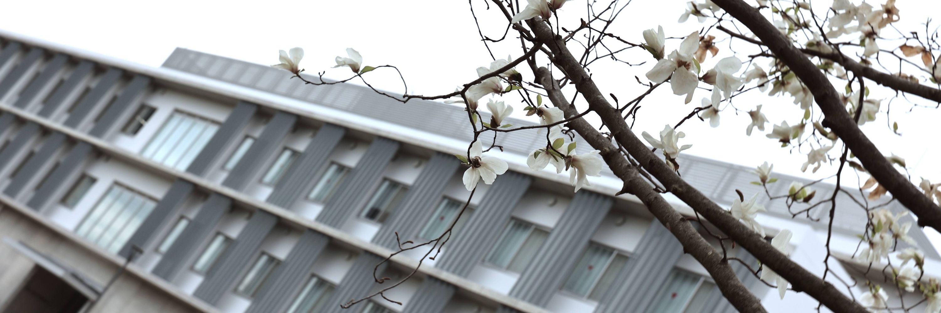 UTokyo ITC / 東京大学情報基盤センター