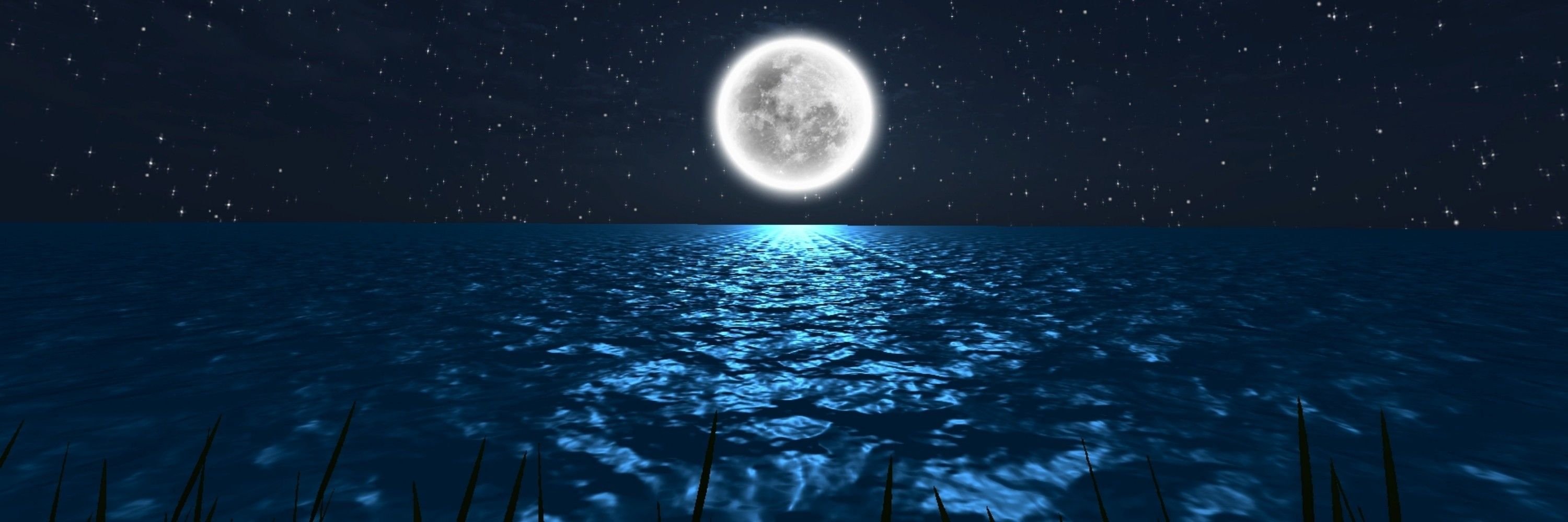 Silvermoon_Fox