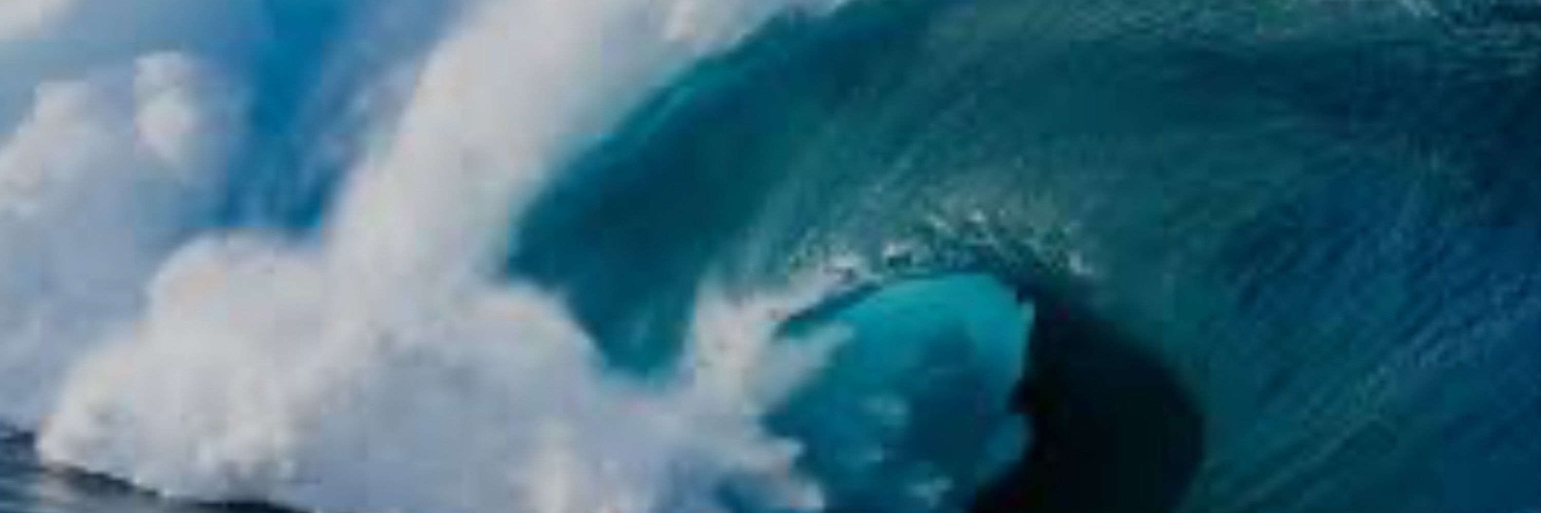 Johnny Tsunami