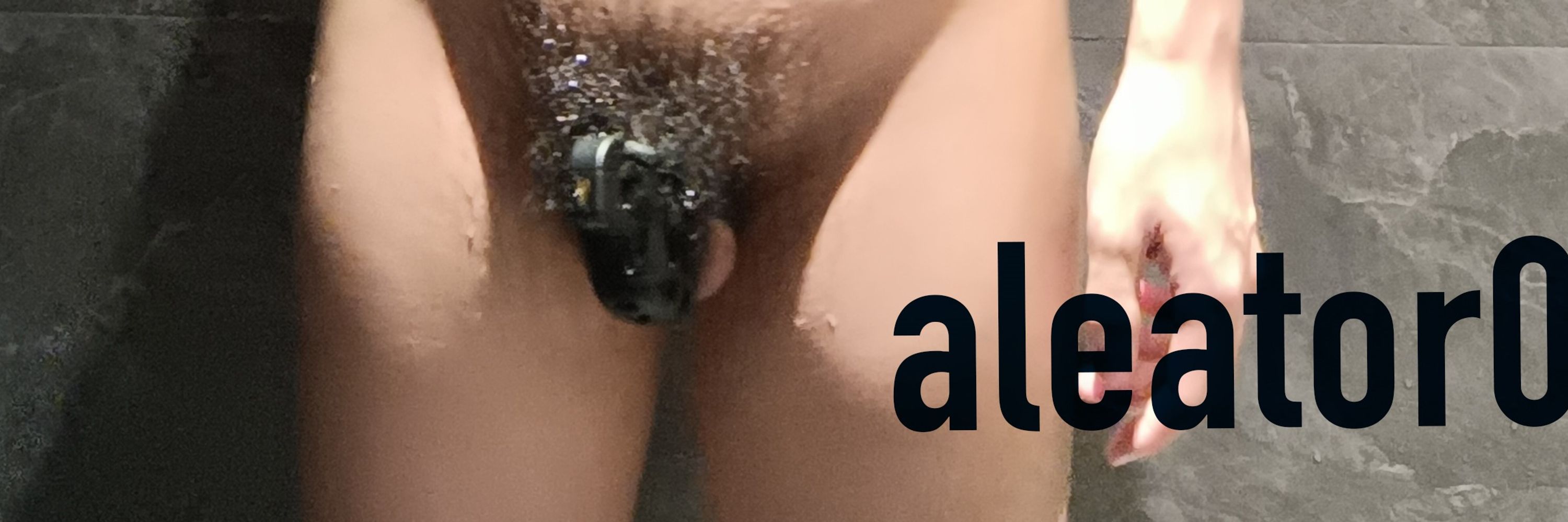 偶然地面生物
