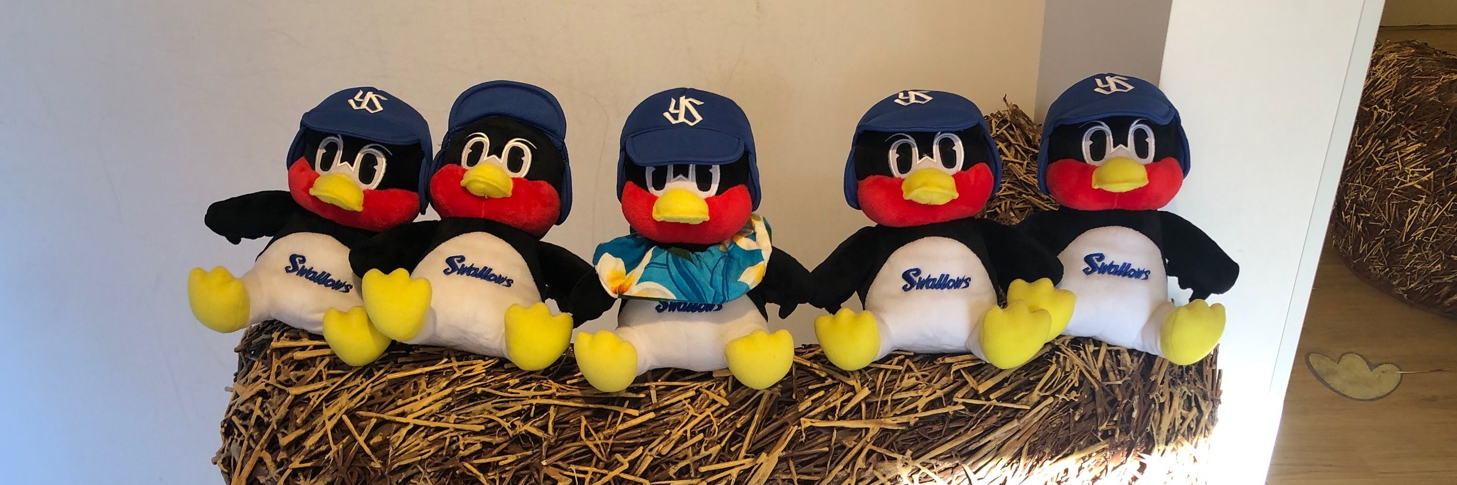 ひづき🐧☂️🌈
