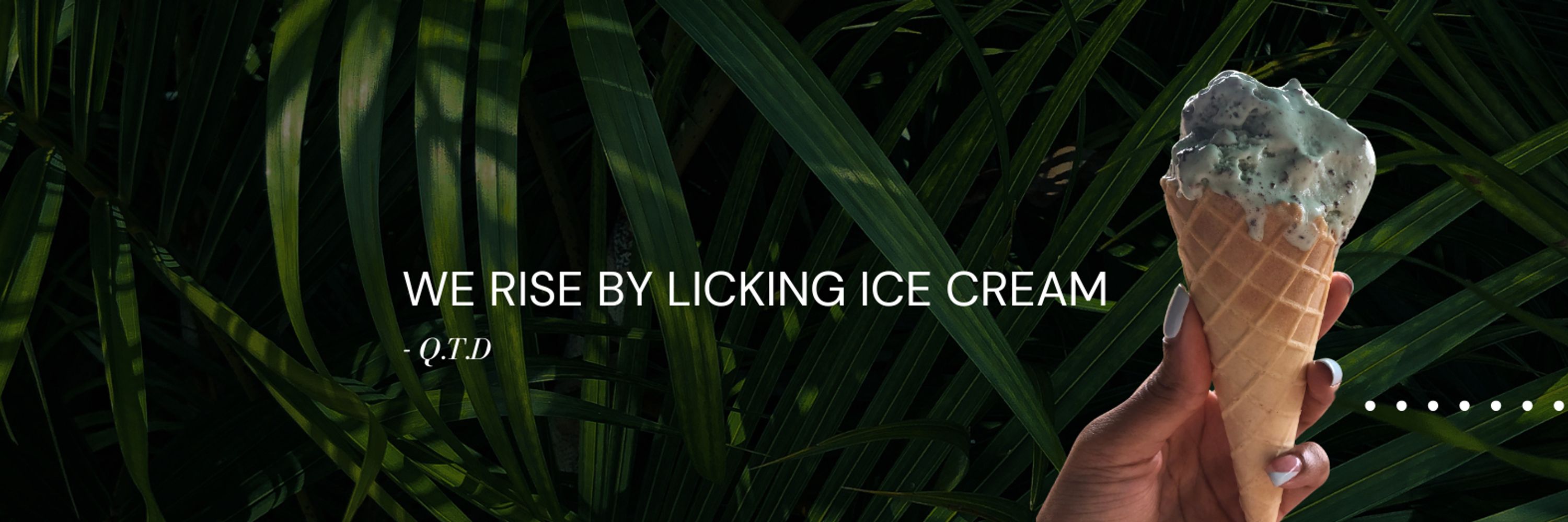Bearly Social | Marketing & Wellness 