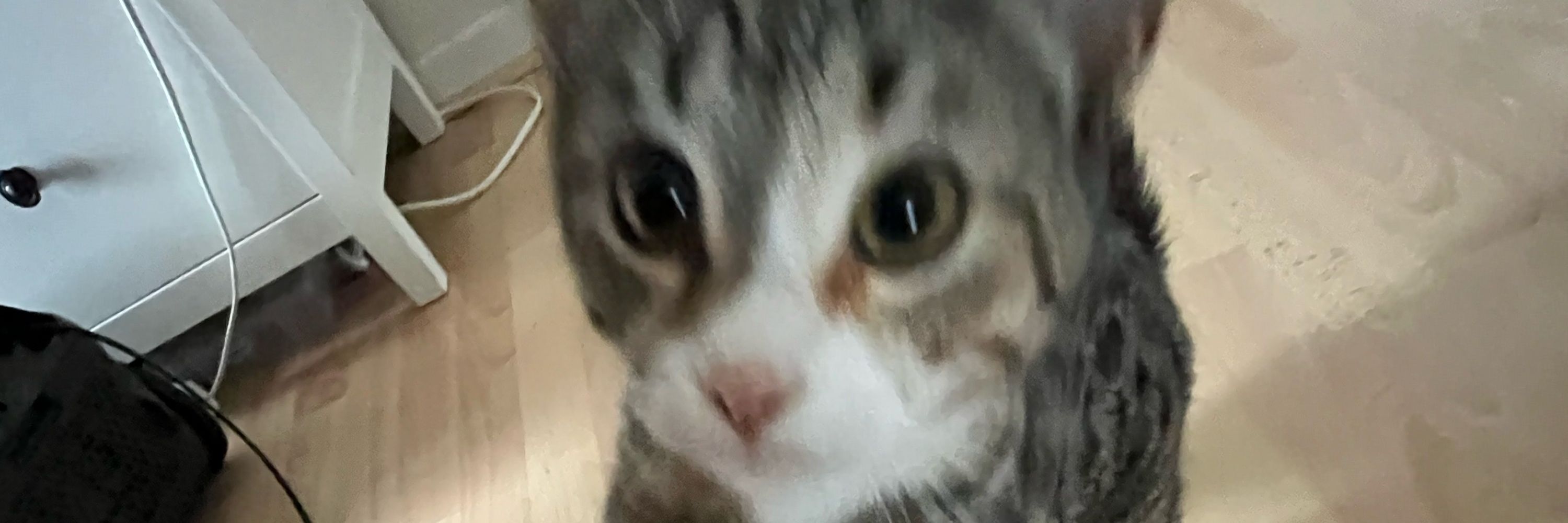 suki ❤️‍🔥
