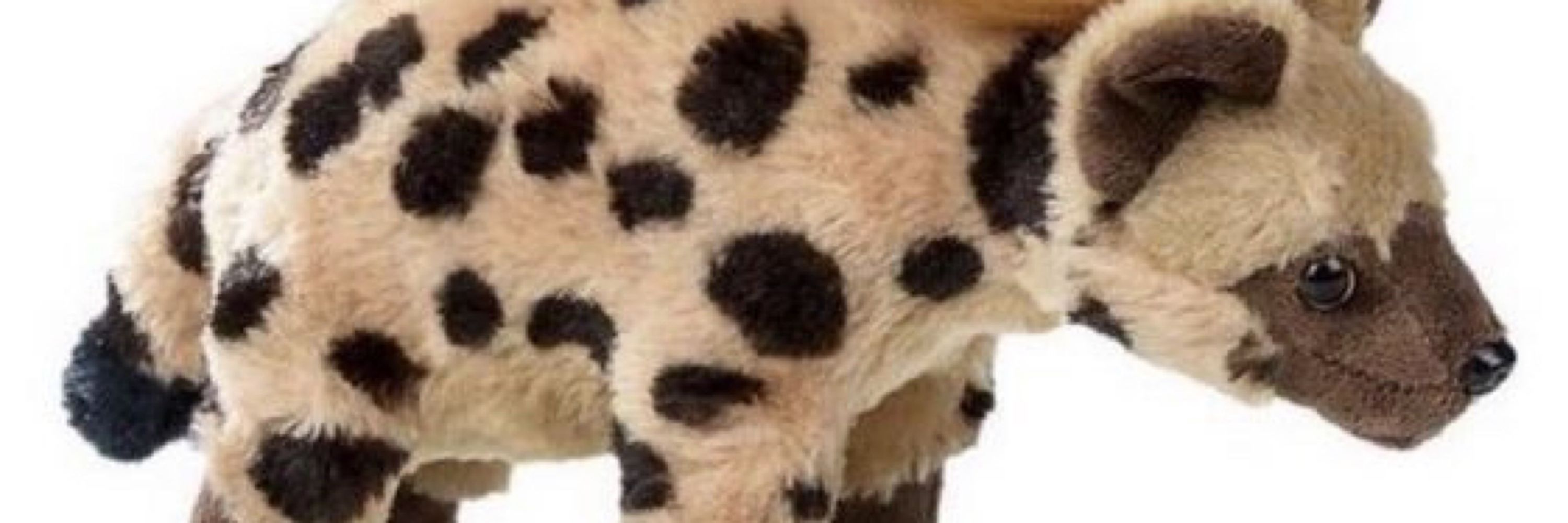 Highyeena