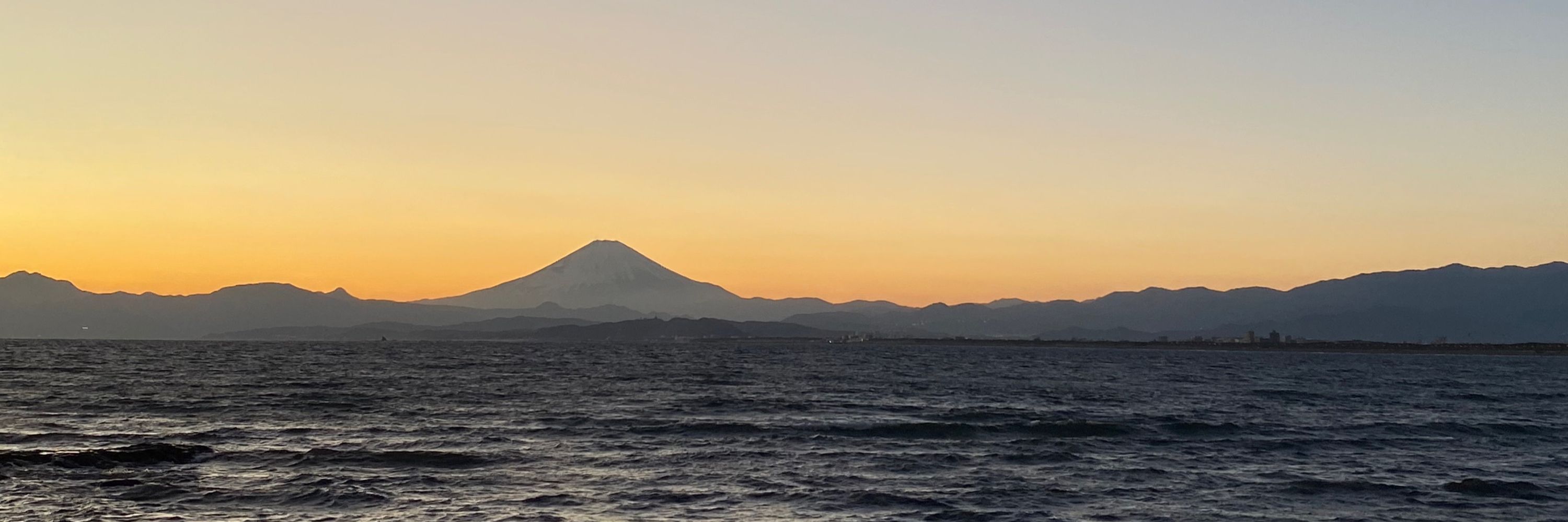 タカヤギ