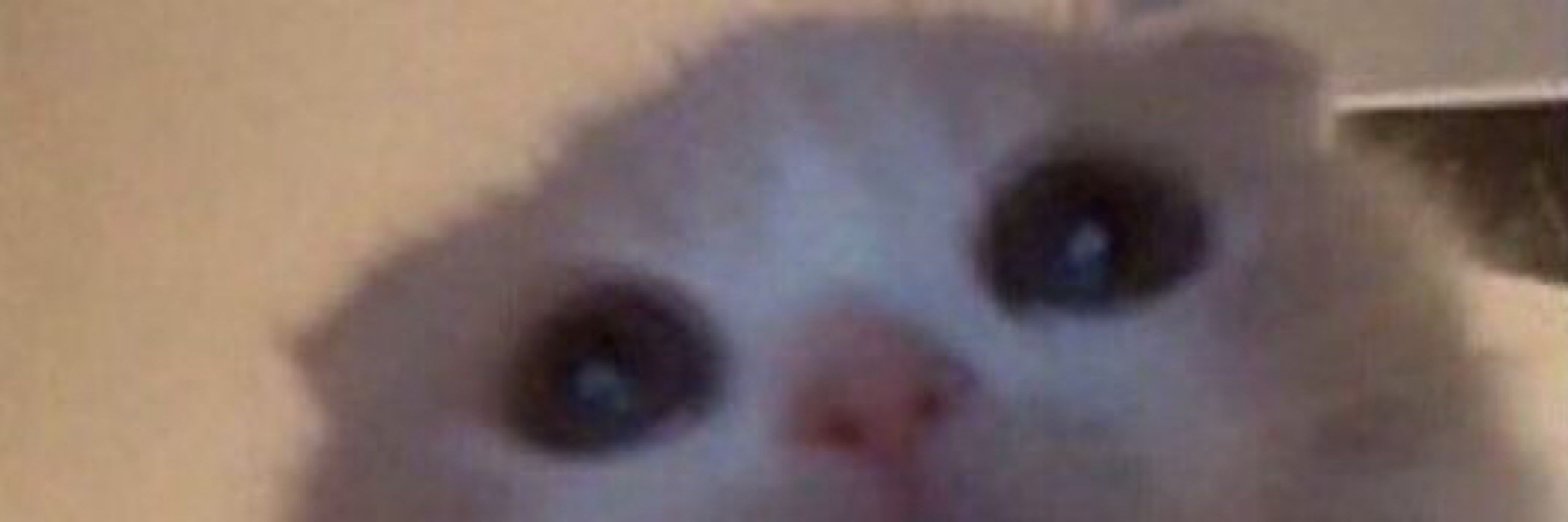 linnöy