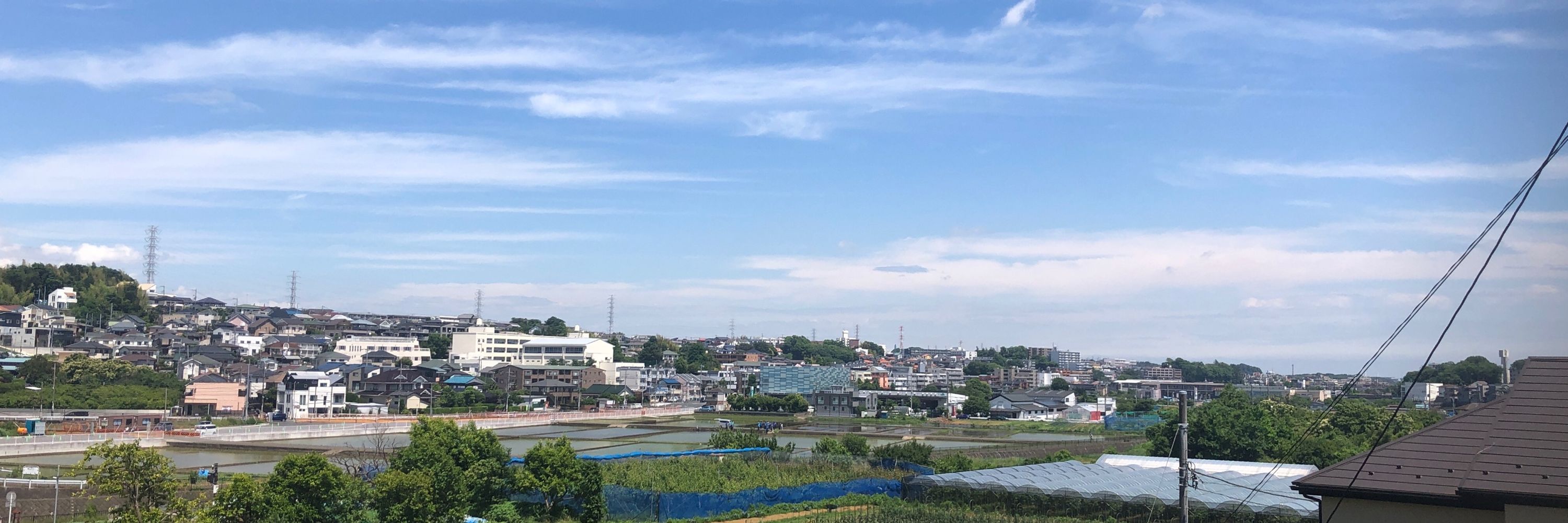 アオさん