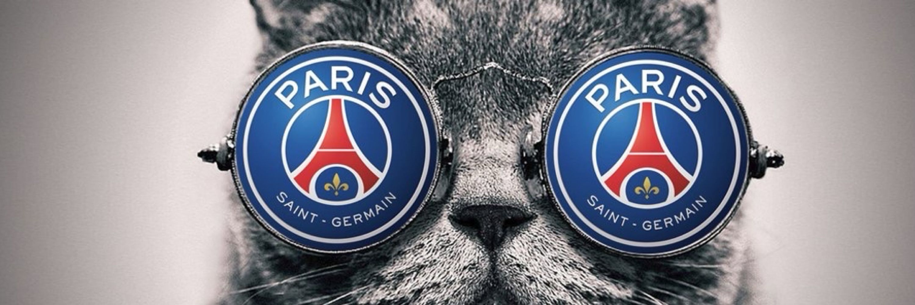 Le Chat 🇫🇷🇺🇦
