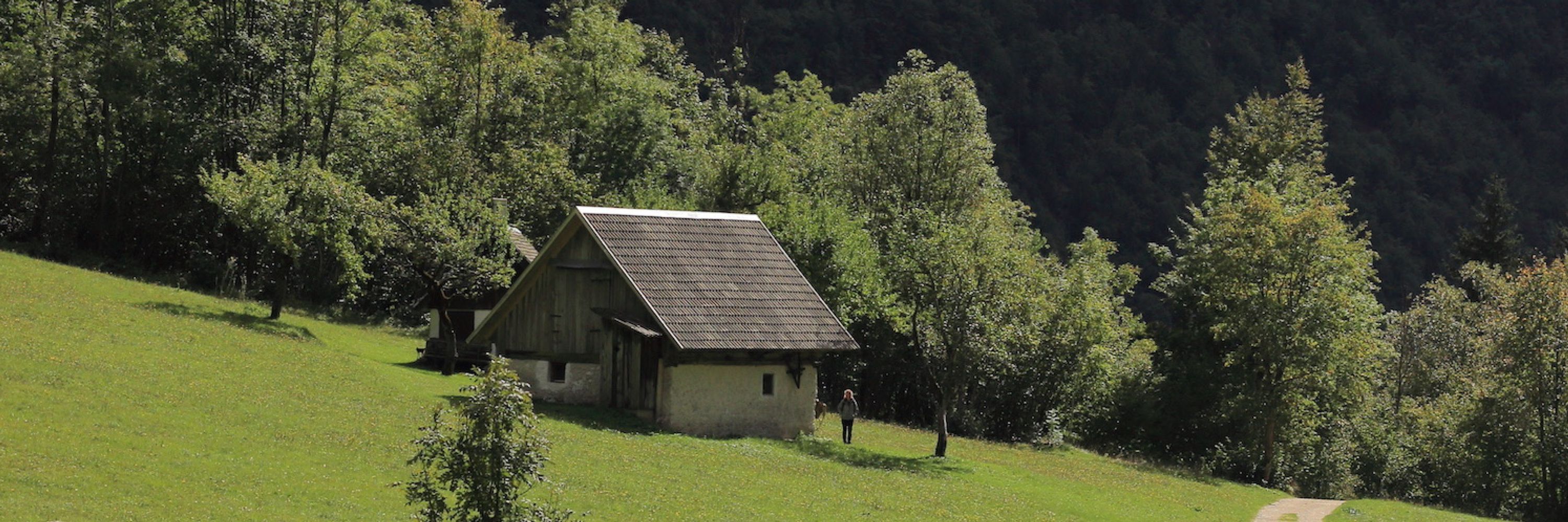Łukasz