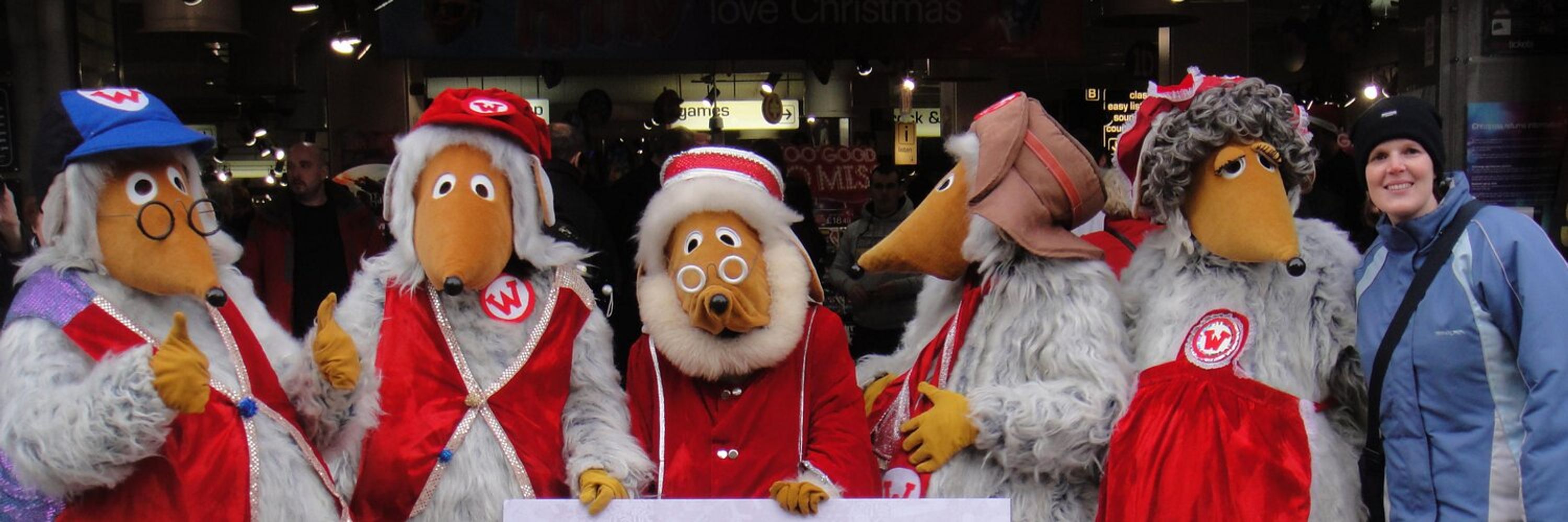 Tidy Bag – Remembering the Wombles