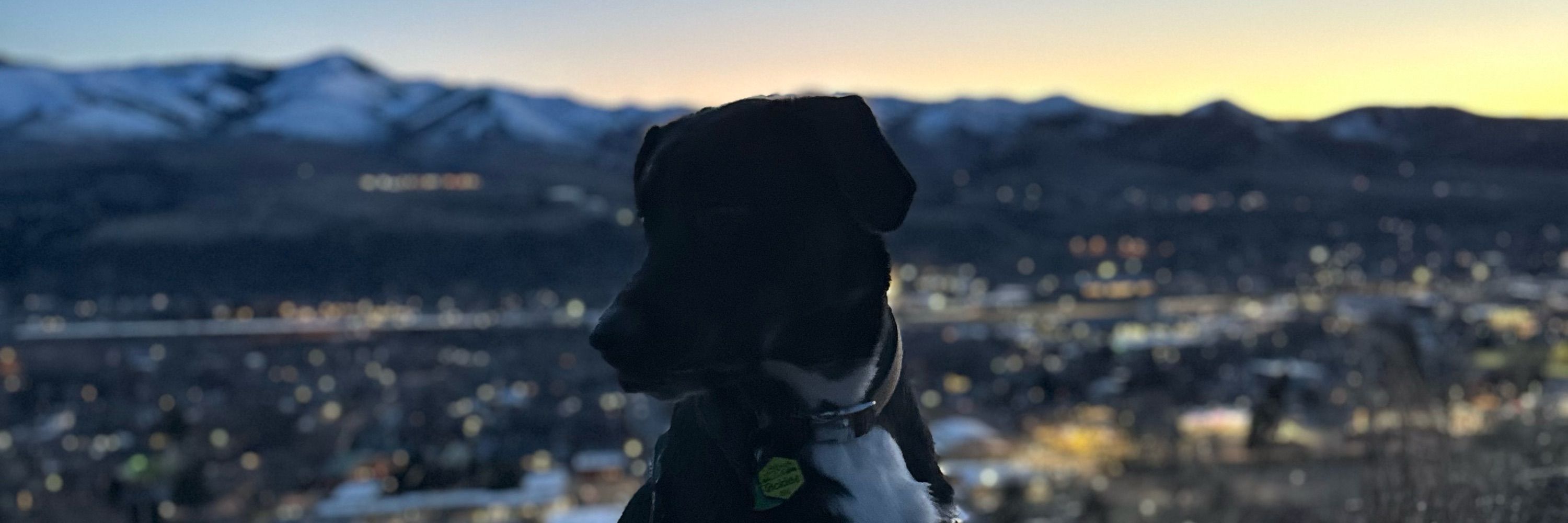 Riley