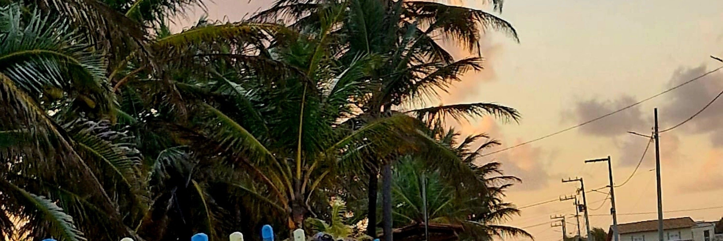 Vascodagama