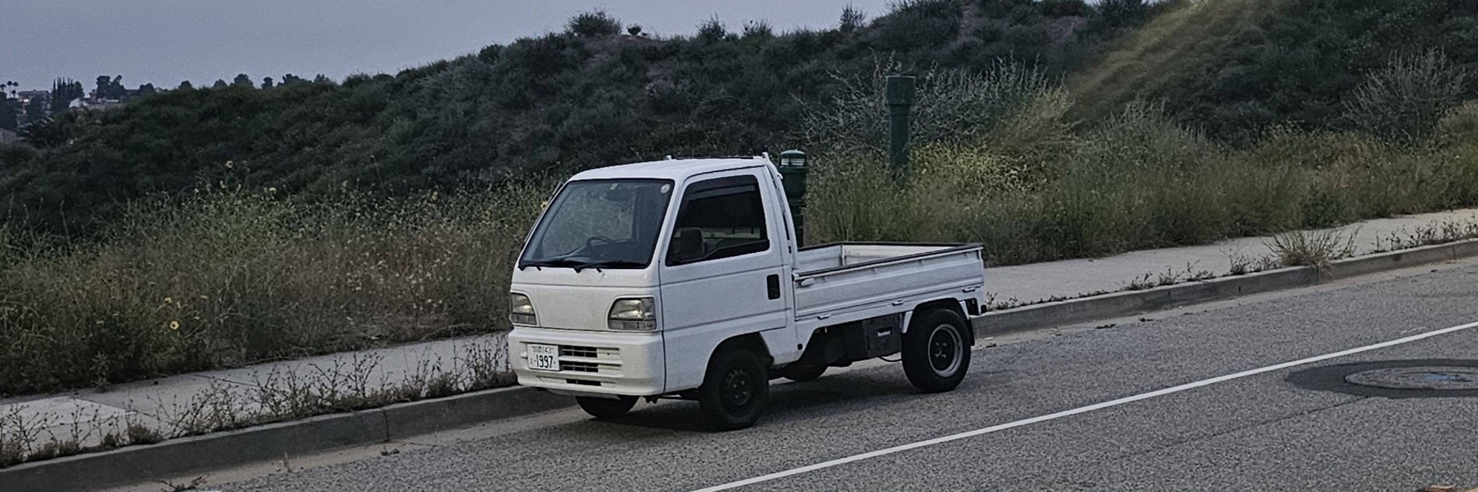 LP