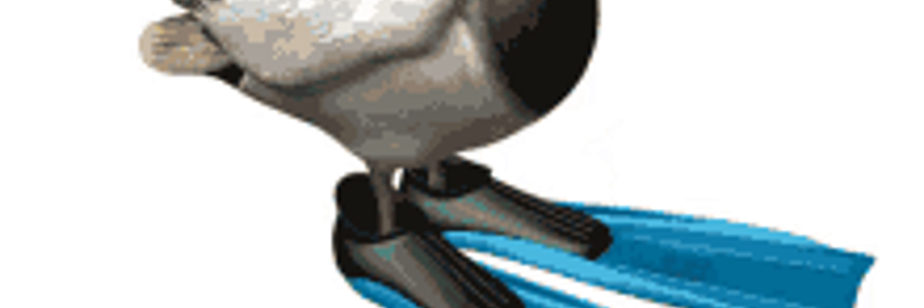 McBird