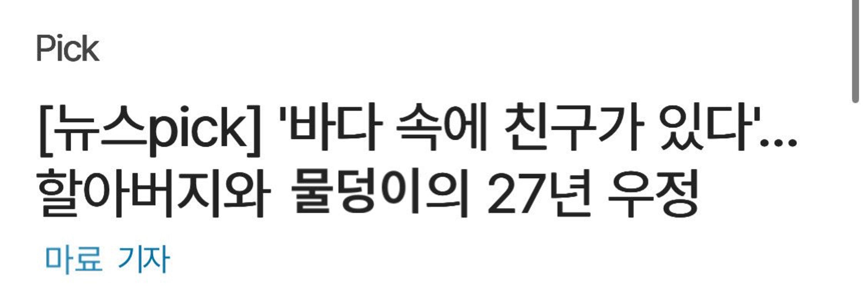 담이