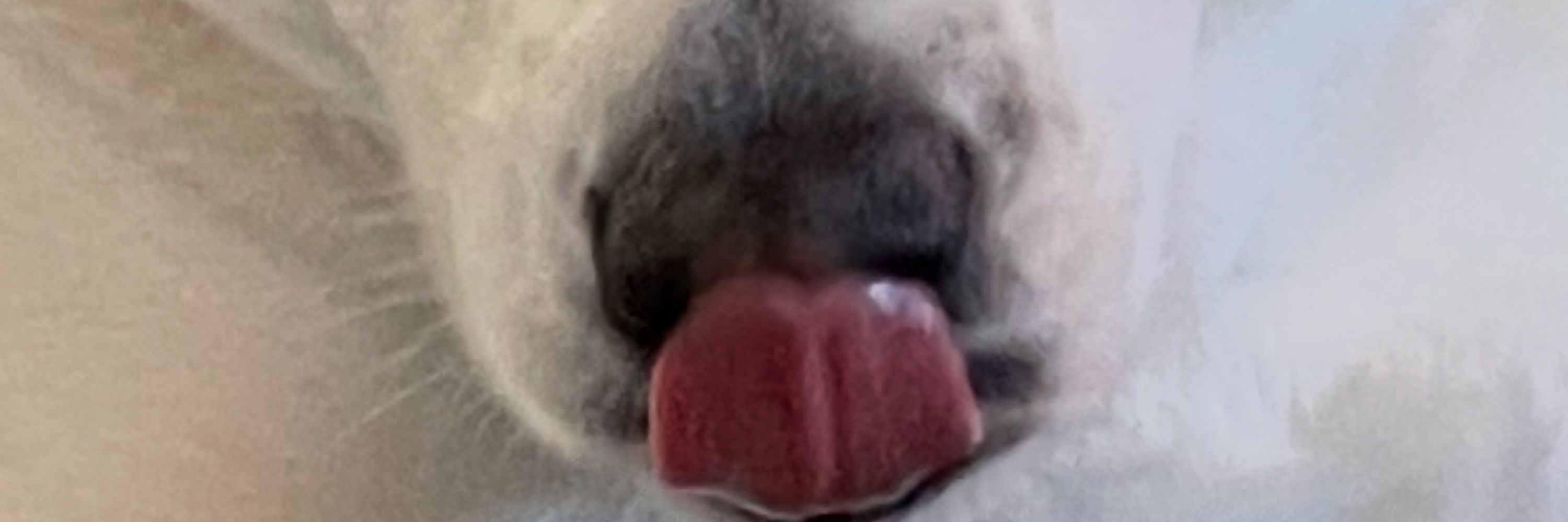 StinkyGr33n