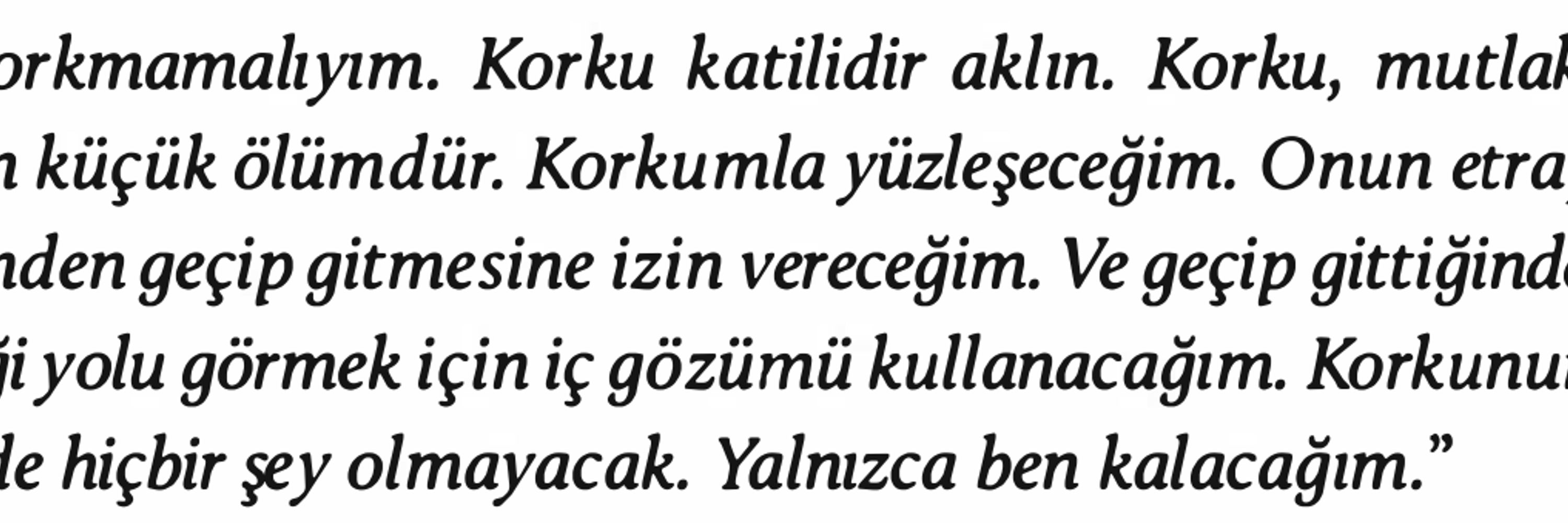 Olivia boykot çiçeği