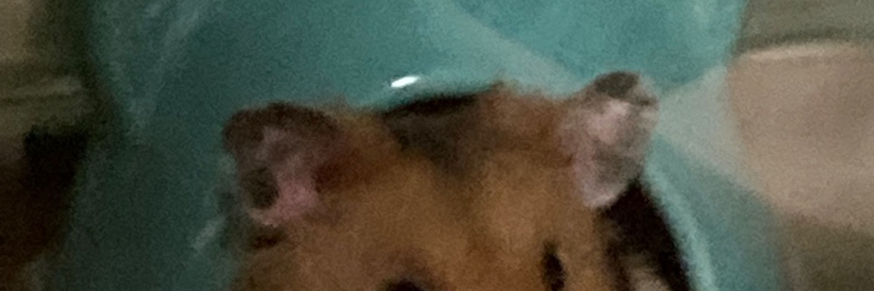 命