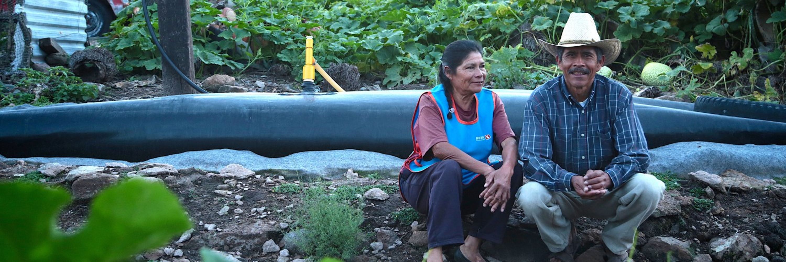 WISIONS of sustainability
