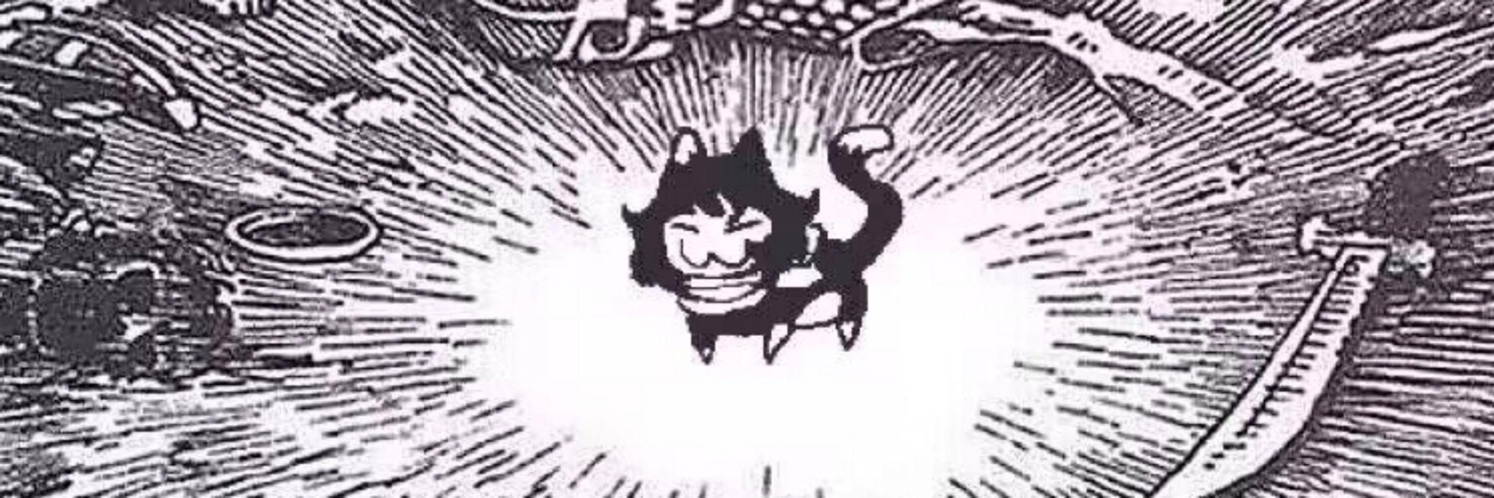 RSリス
