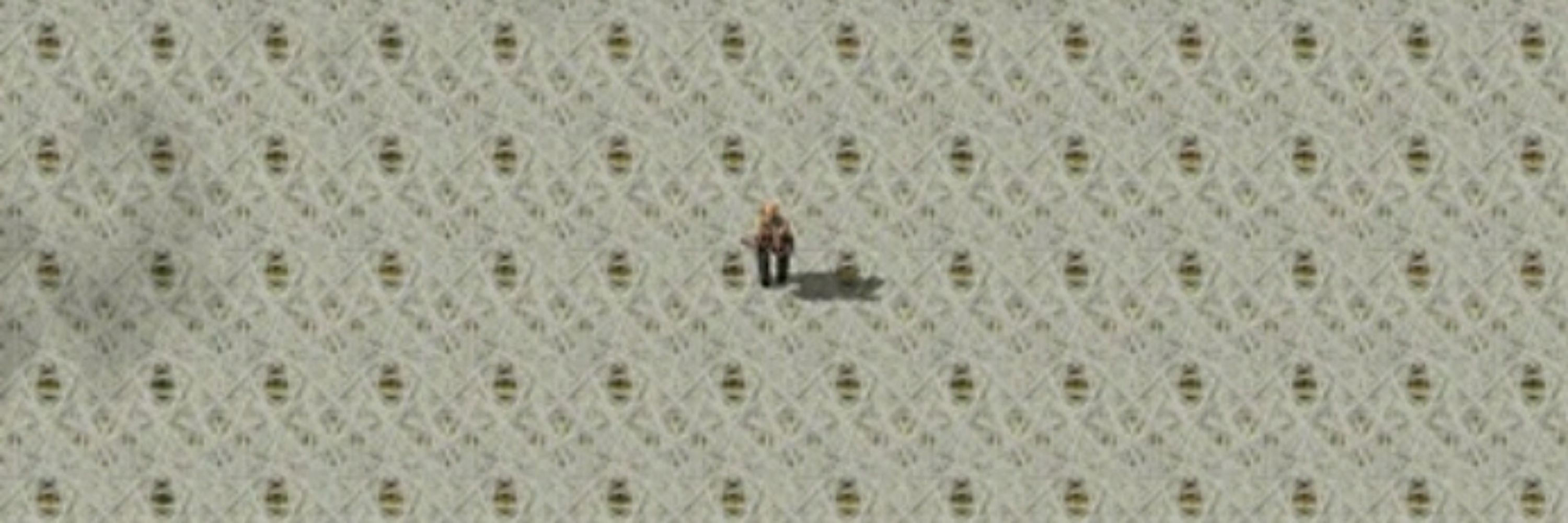 Beans