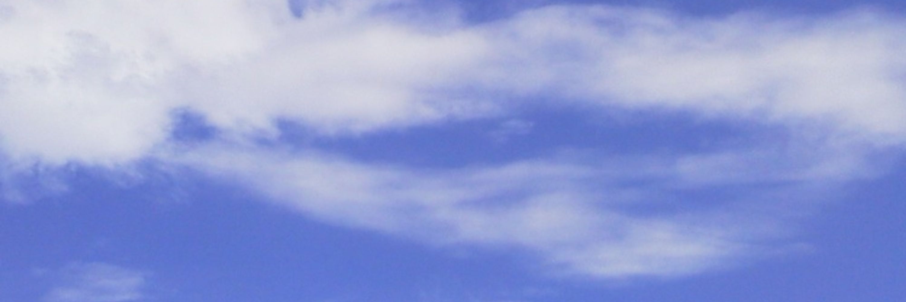 空色紫陽花