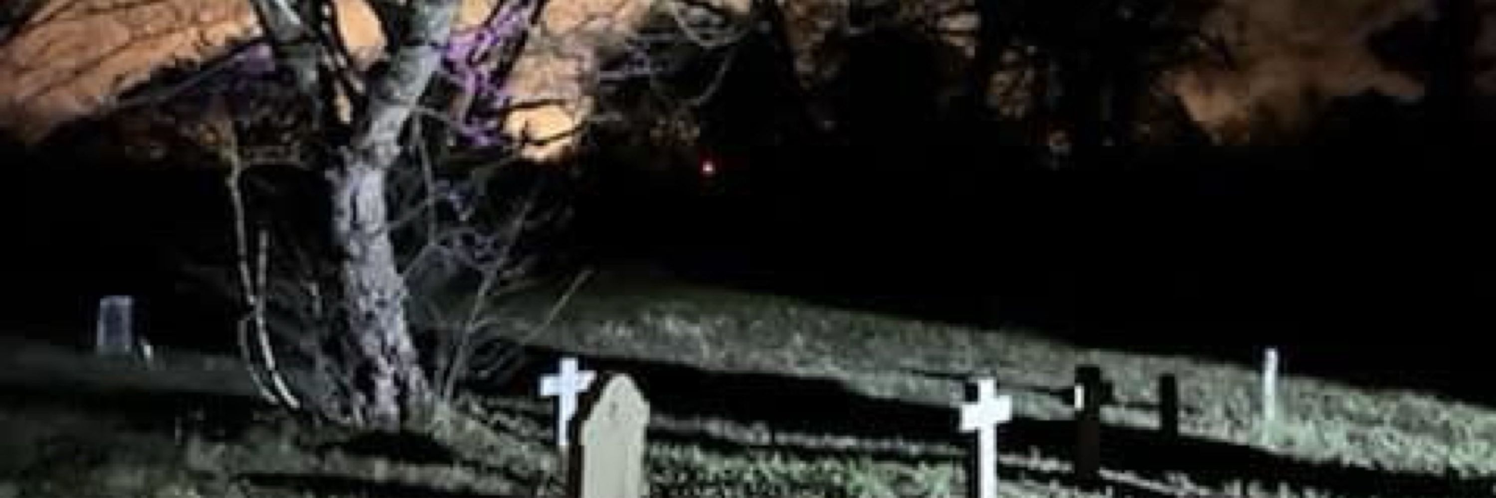 S.E.K. Bordertown Paranormal Society