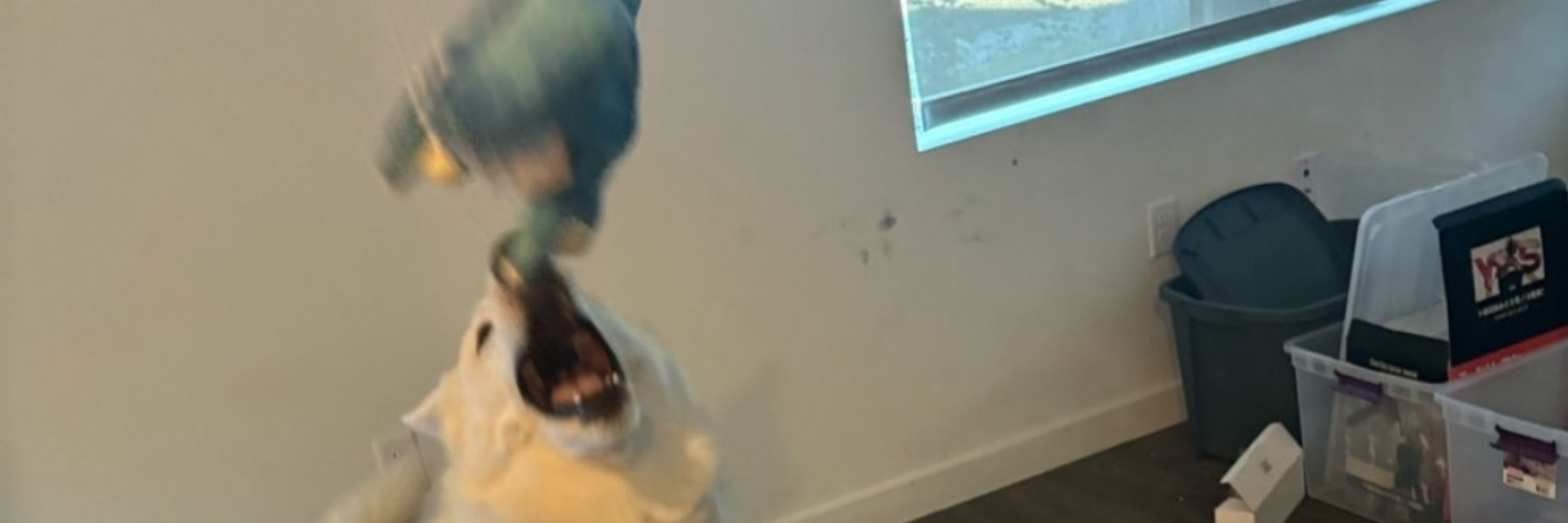 Meme Master