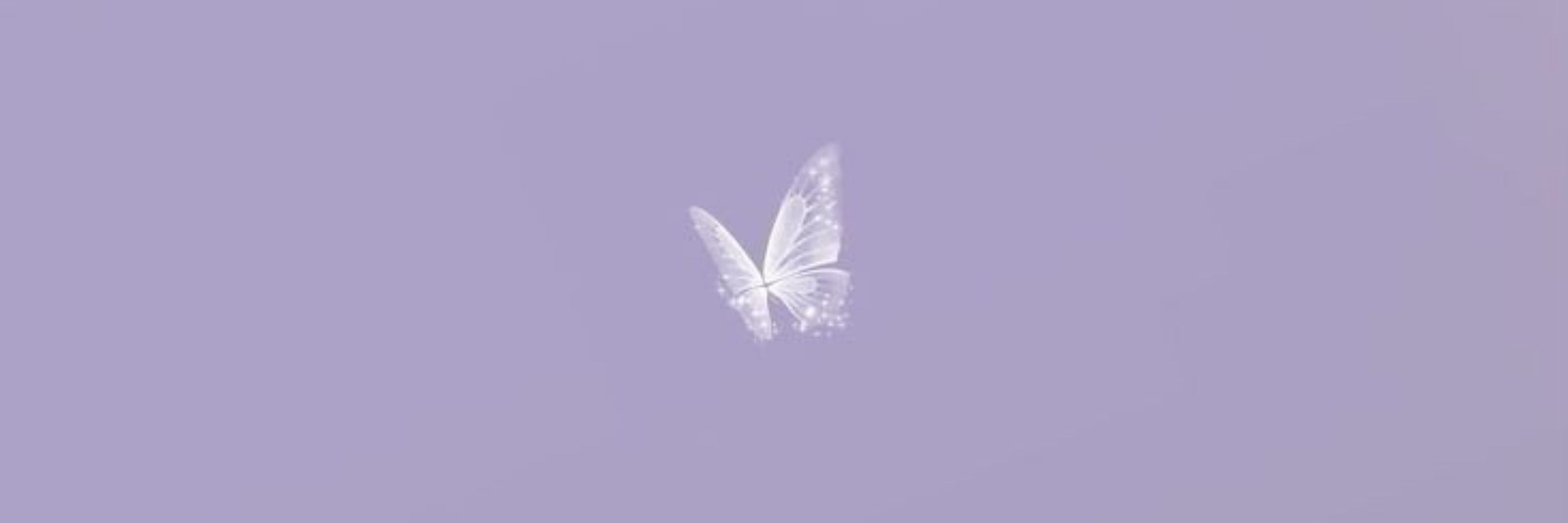 moth
