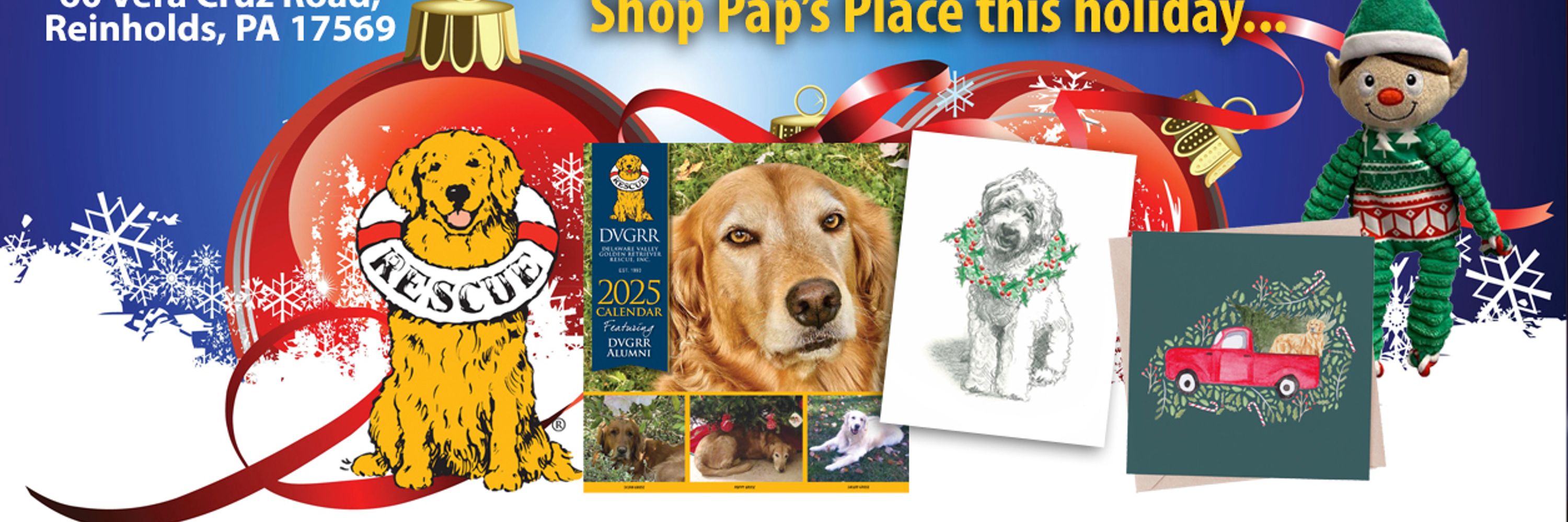 Delaware Valley Golden Retriever Rescue (DVGRR)