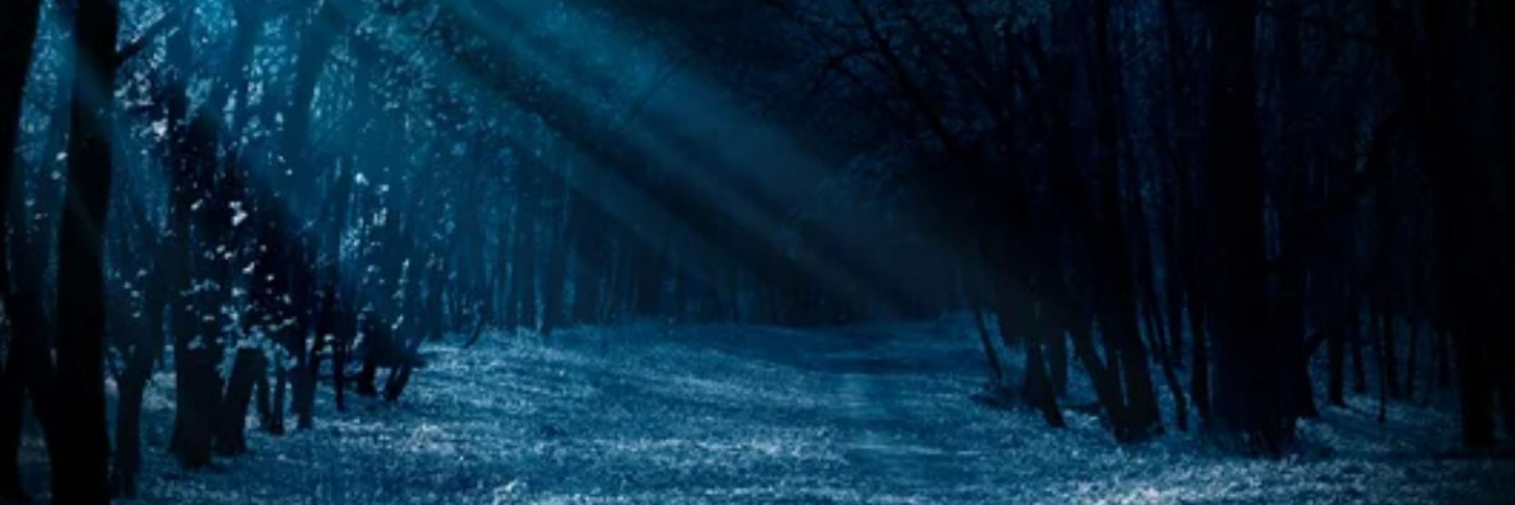 Sapphire Twilight