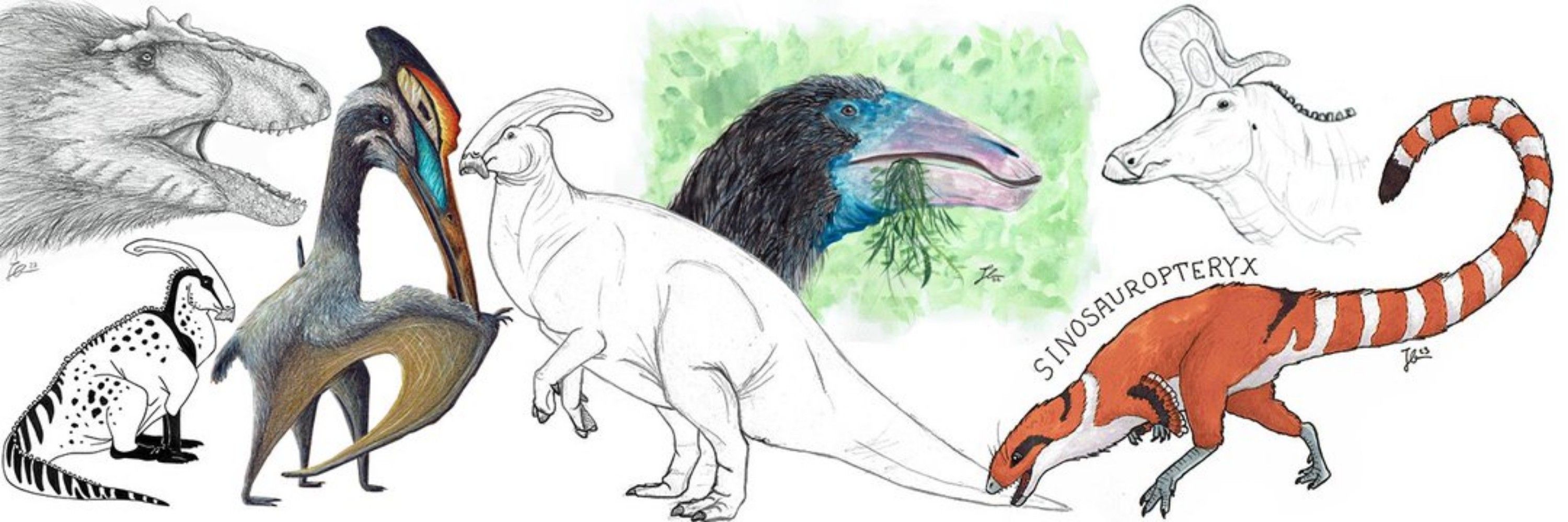 ParaSpinoDocus ♠️🦕🪶