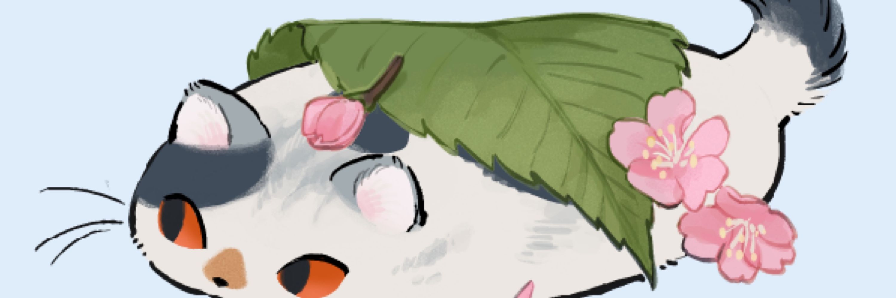 まっぷ
