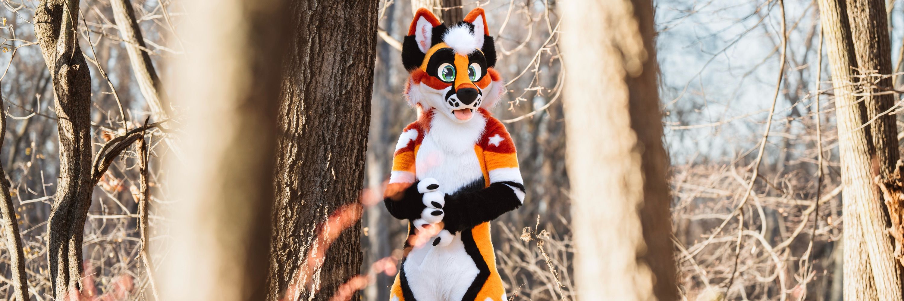 Fox Pupy 🦊🧡