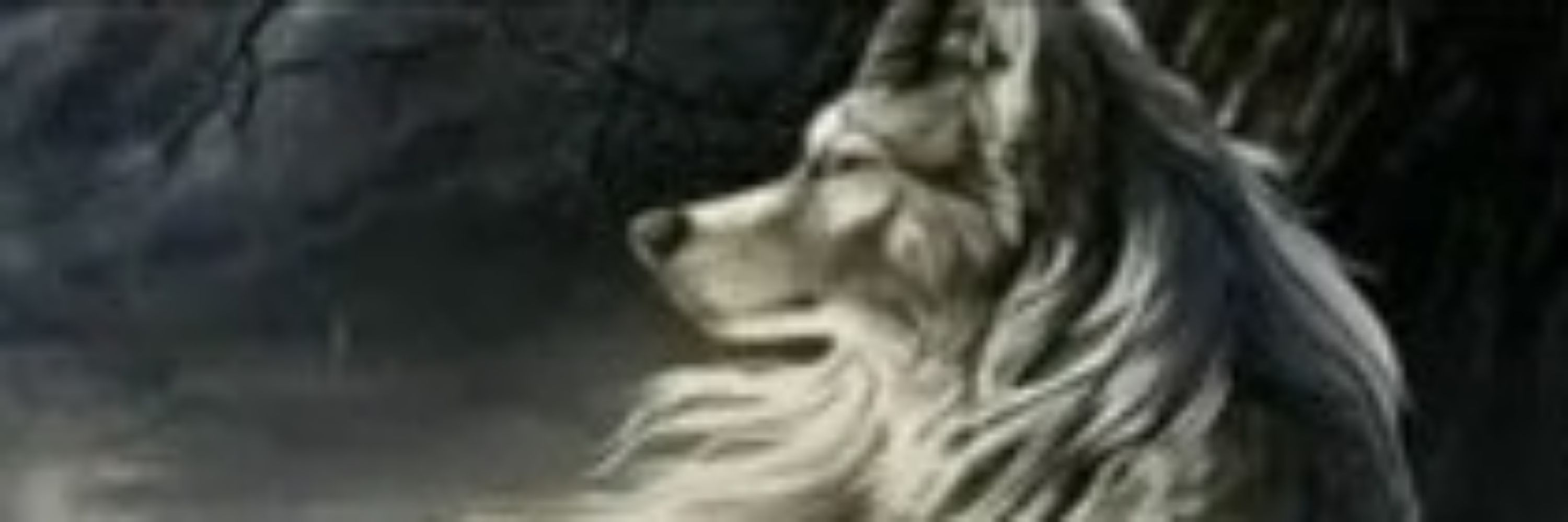 Vinih Phantom