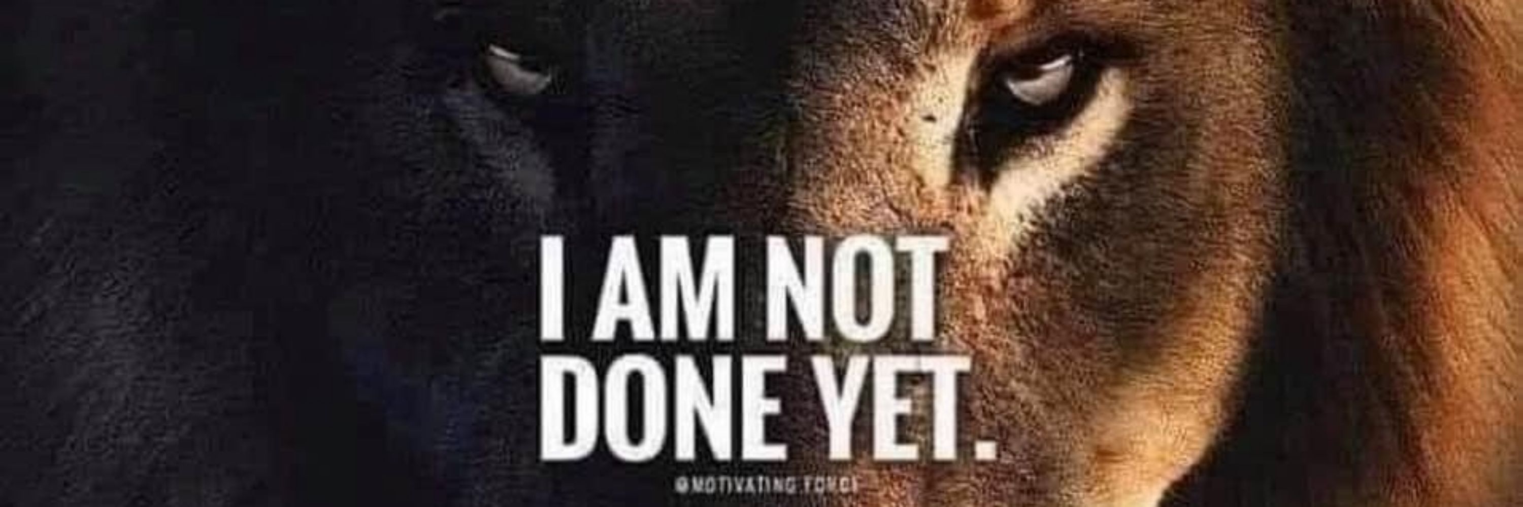From the Lion's Den