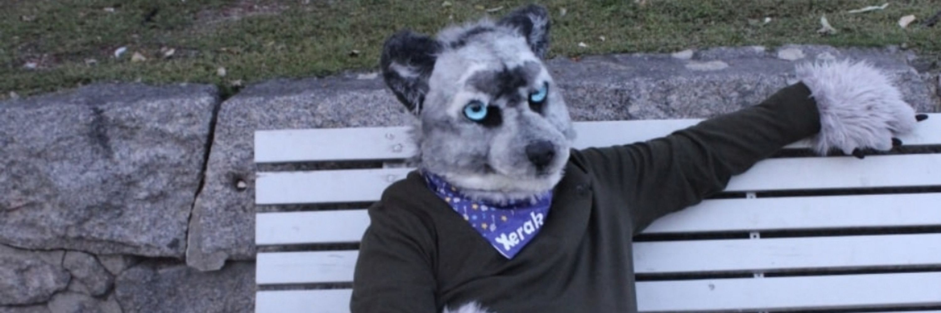 Xerak Ravenfur