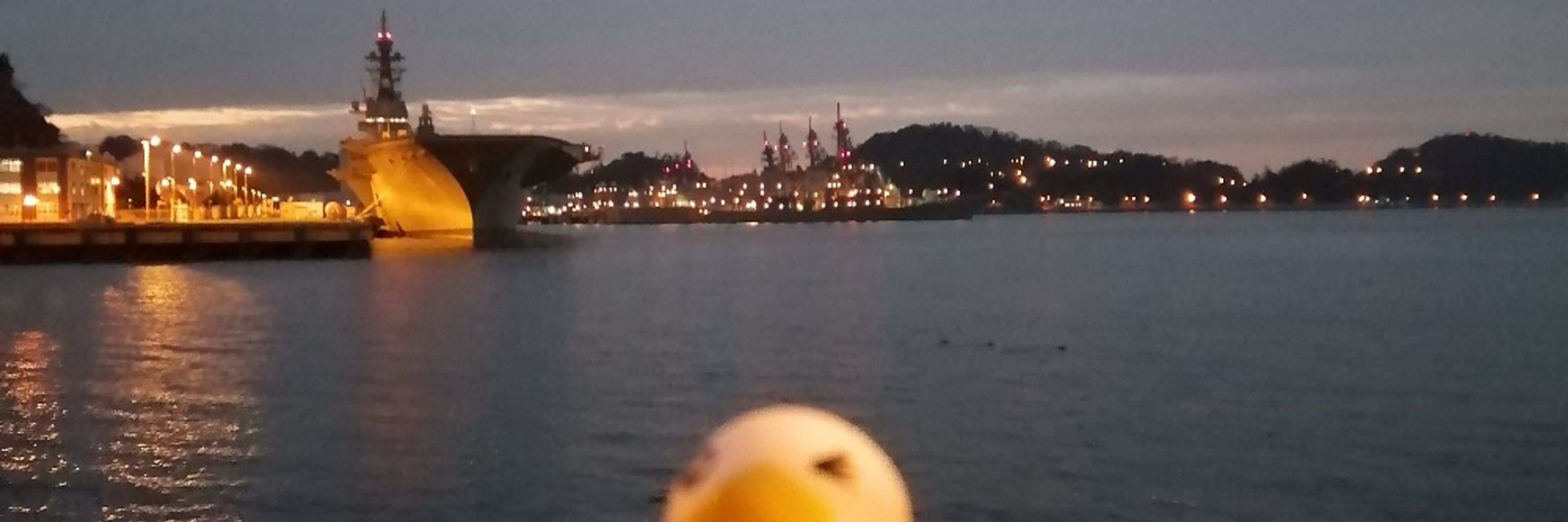 なつみかん🐓🍊