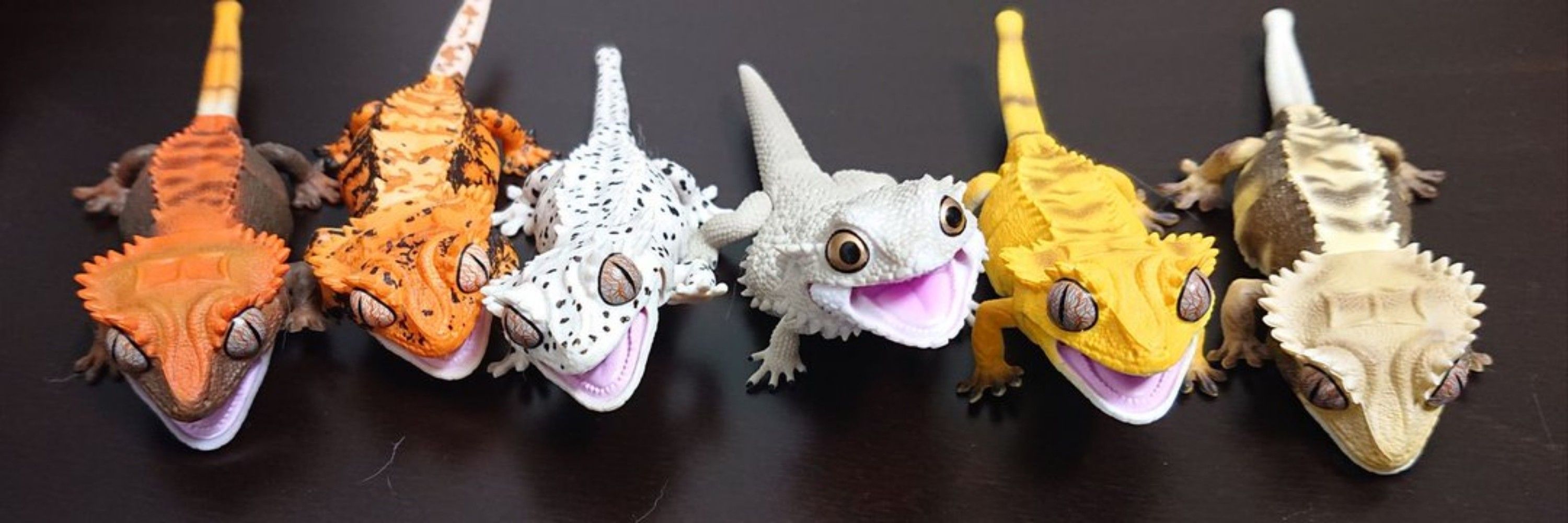おれんじとかげ🍊🦎