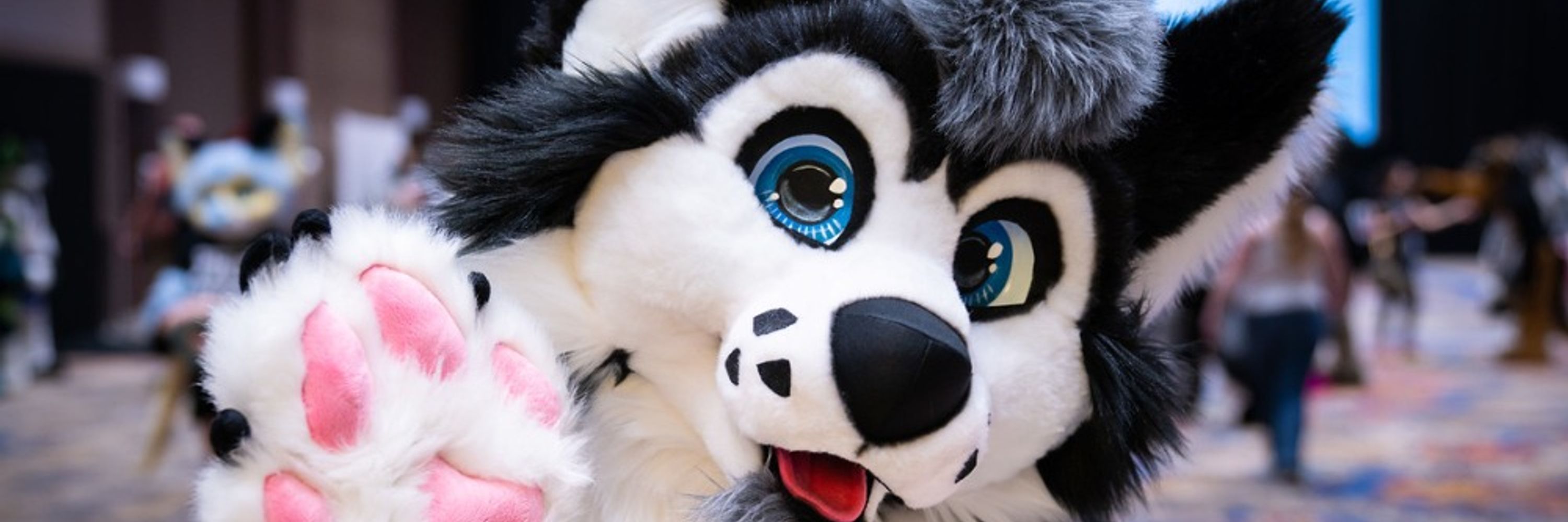 HuskyWolfeh