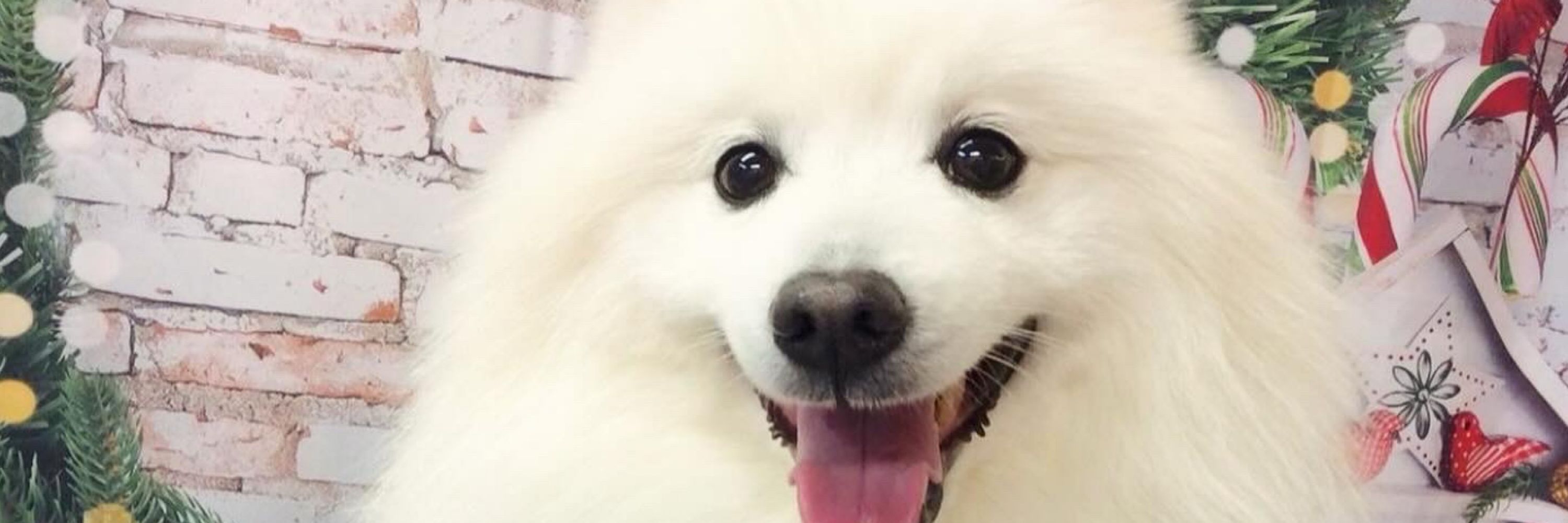 よろめき