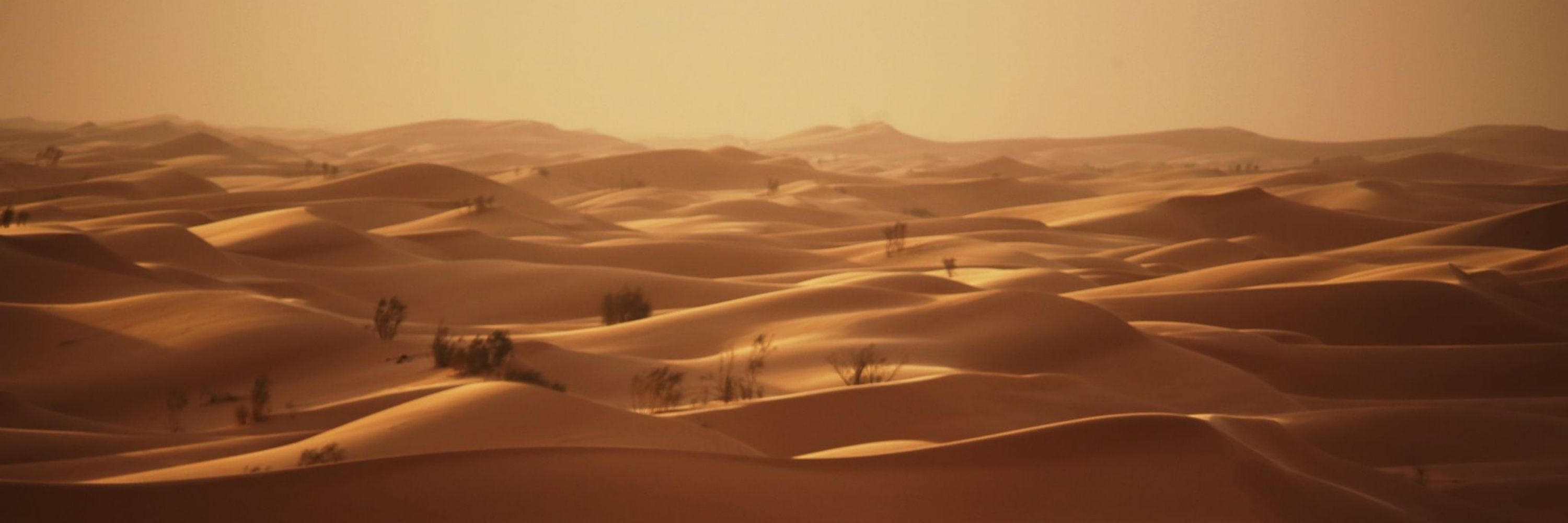 Dunebat