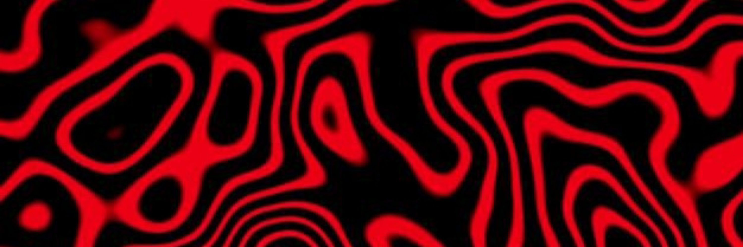 𝘽o𝙣𝙚𝙚✦