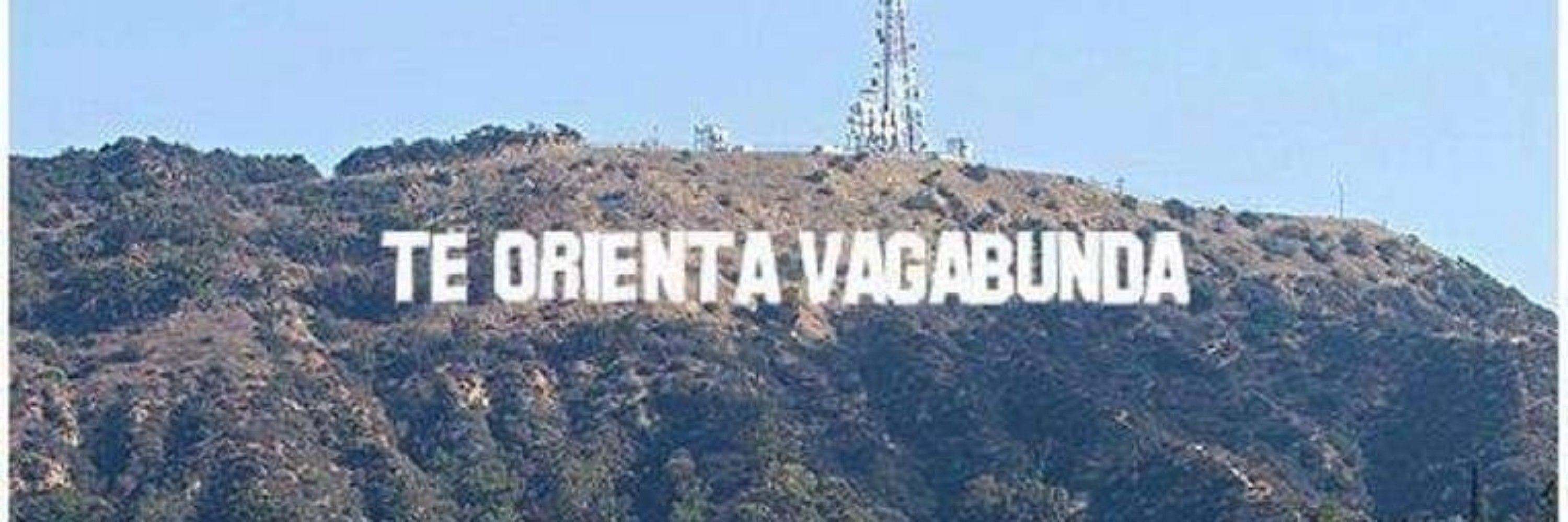 Vinícius