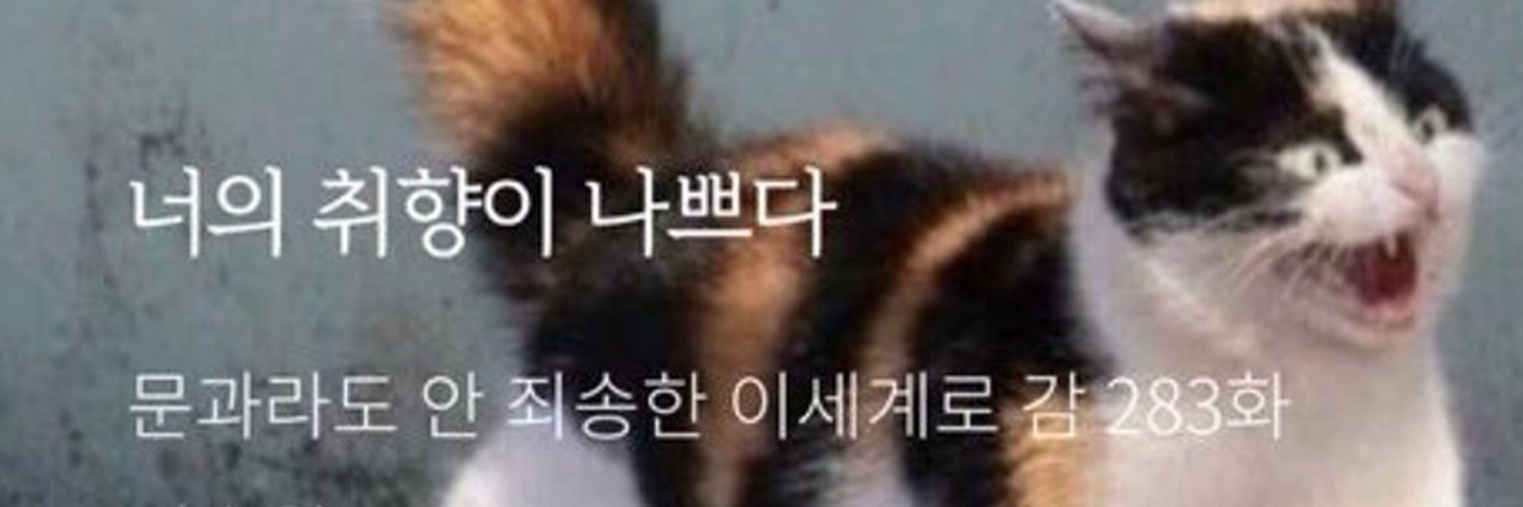 해달🦦문송계